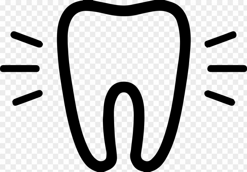 Teeth Dentistry Medicine Health Care PNG