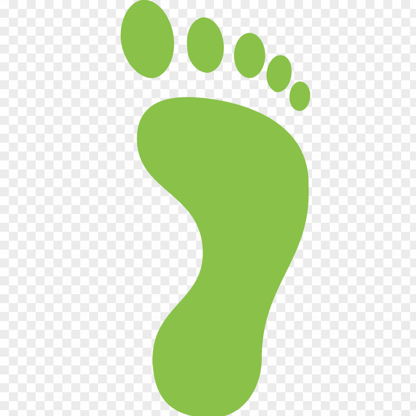 Footprints Footprint Green Color Clip Art PNG