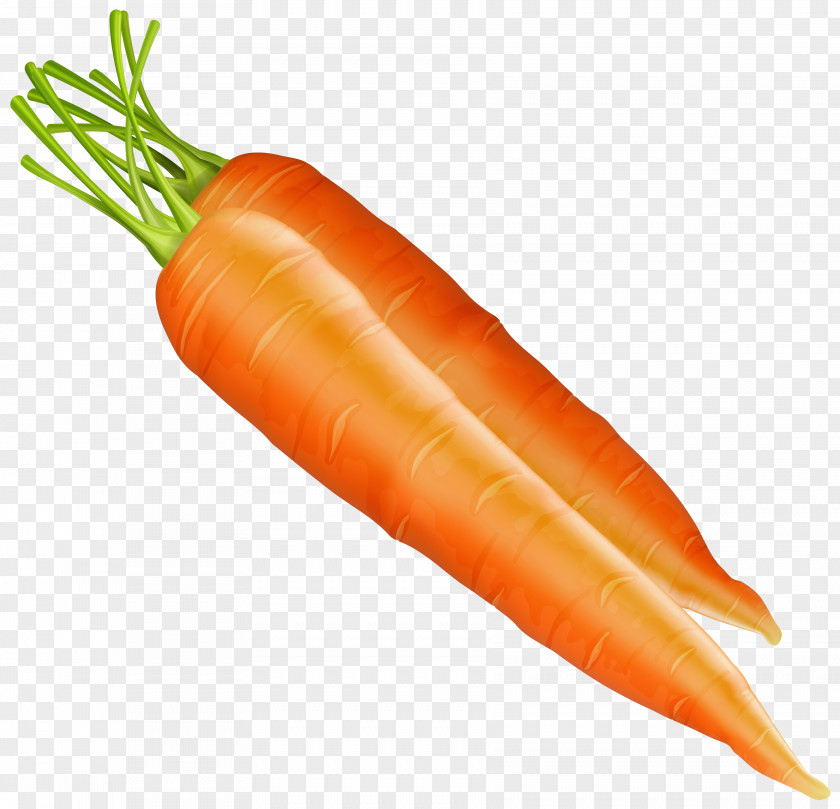 Carrot Vegetable Clip Art PNG