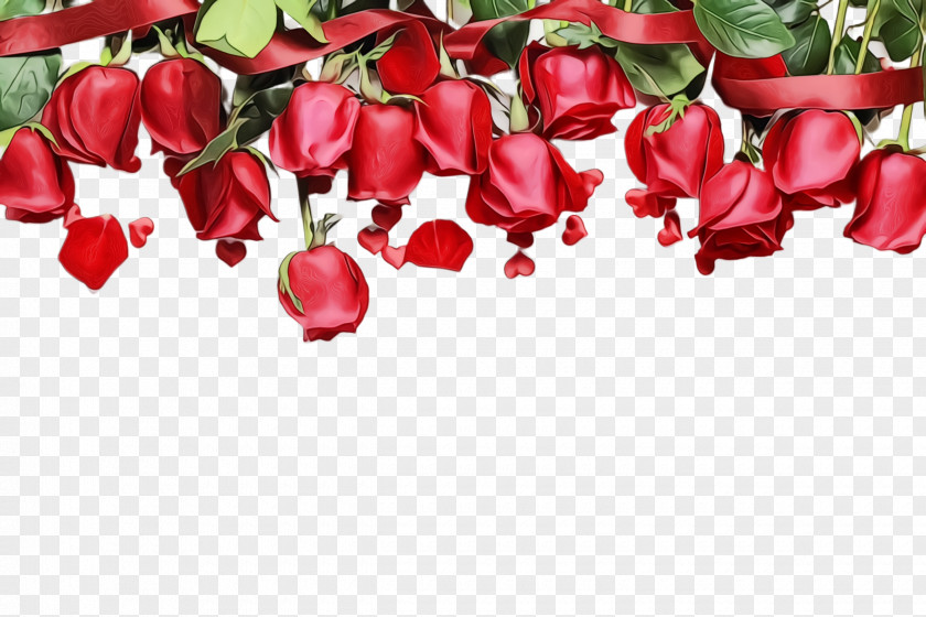 Cut Flowers Tulip Rose PNG