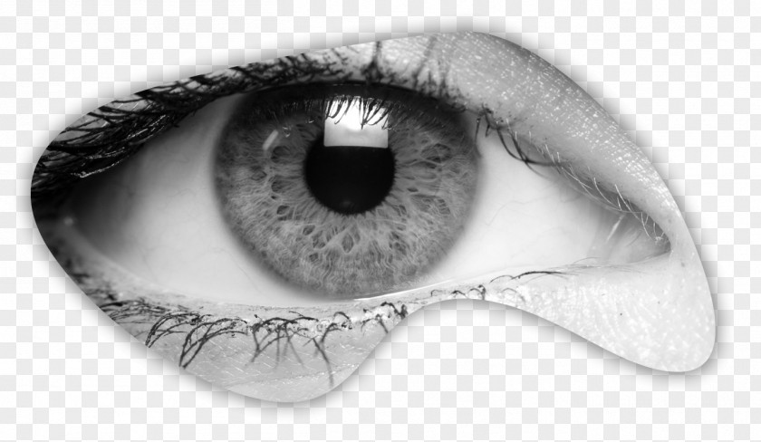 Eye Human Visual Perception Staring Prosthesis PNG