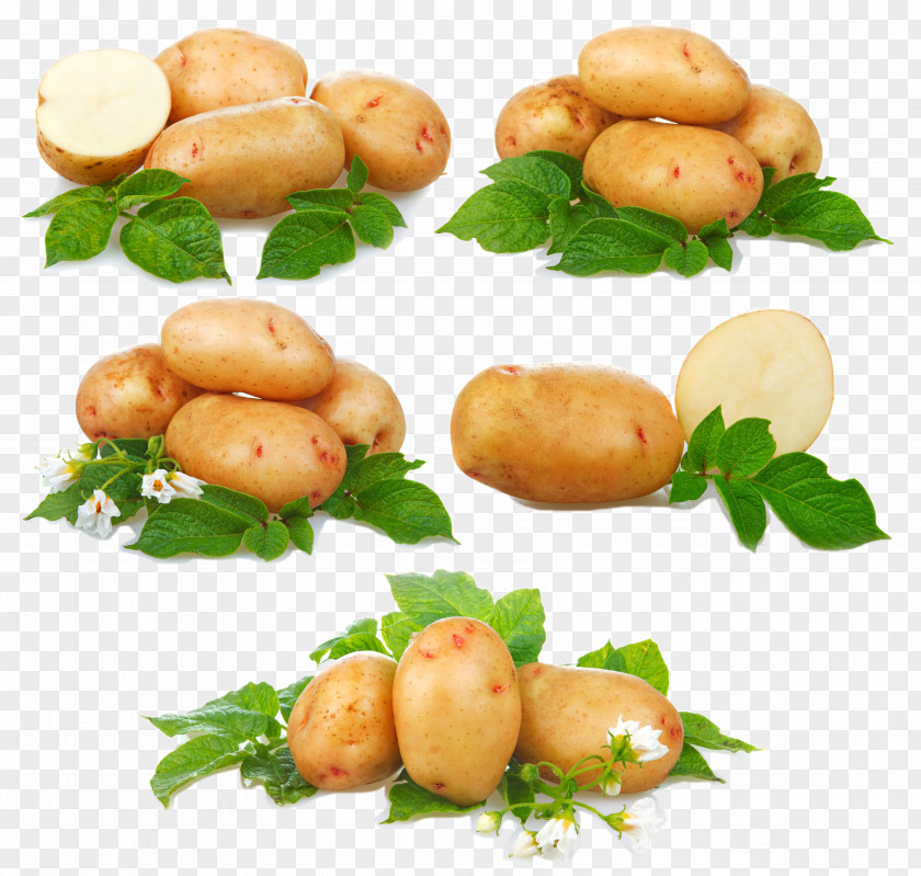 HD Potatoes French Fries Sweet Potato Vegetable PNG