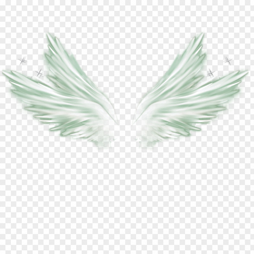 White Wings Material Wing Feather PNG