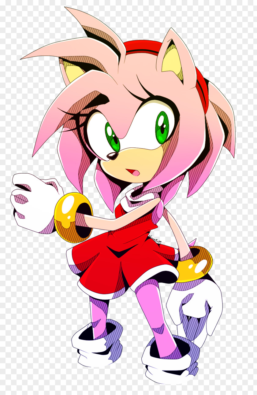 Amy Rose Sonic The Hedgehog 3 Shadow Free Riders PNG