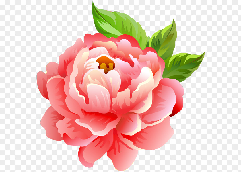 Artificial Flower PNG