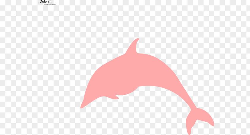 Dolphin Free Clip Art PNG