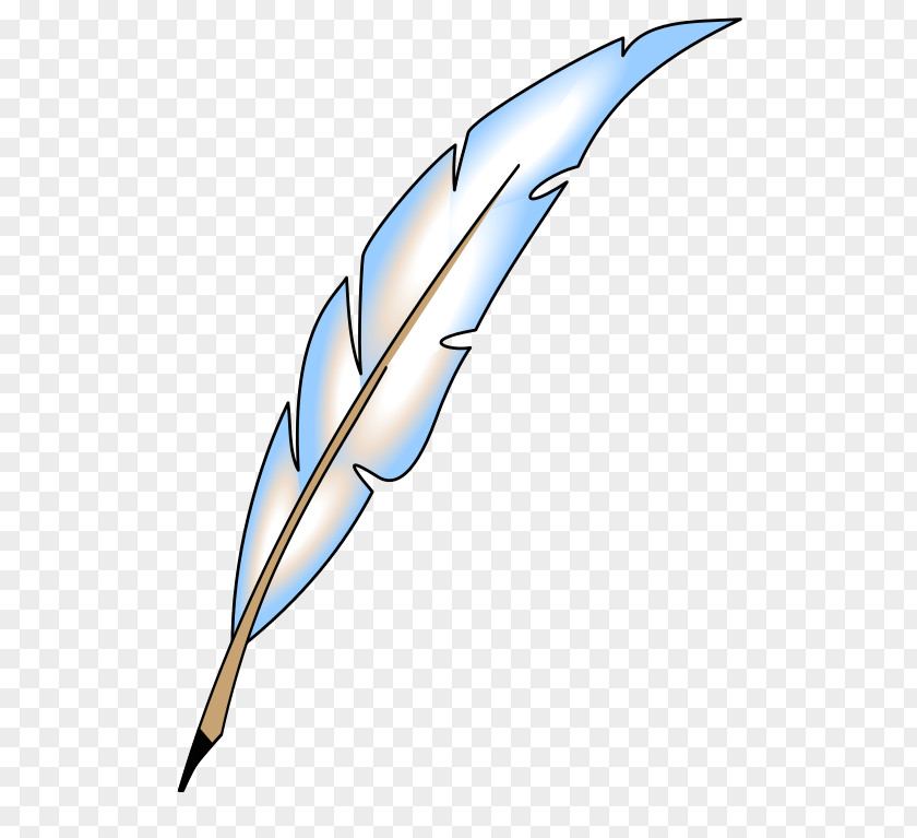 Feather Eagle Law Clip Art PNG
