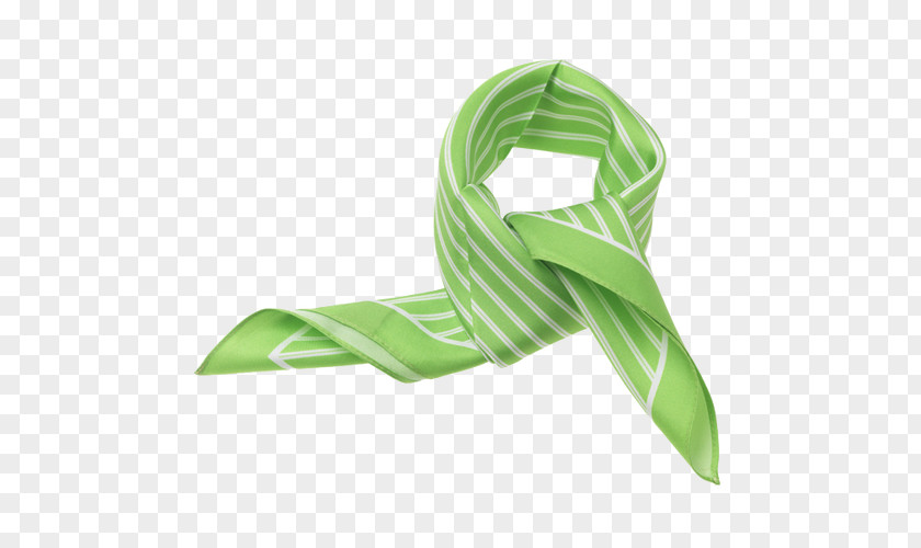 Green Apple Scarf Silk Necktie Handkerchief Clothing PNG
