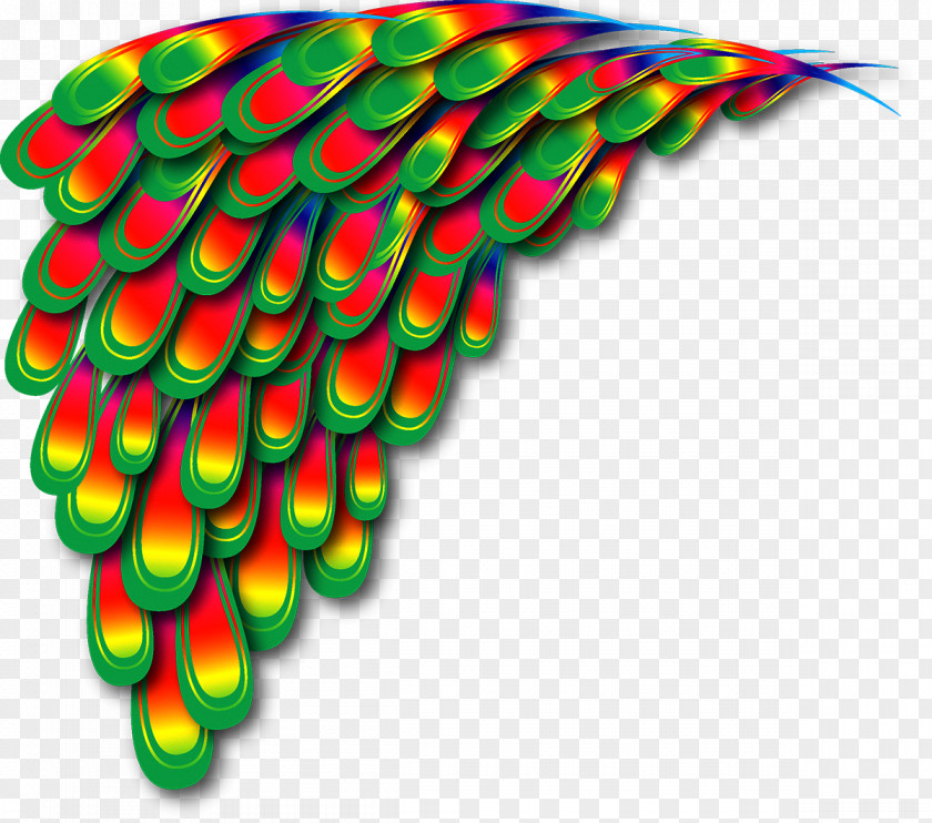 Peacock Wings Peafowl Download PNG