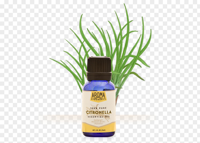 Plant Citronella Oil Essential Aroma Compound PNG