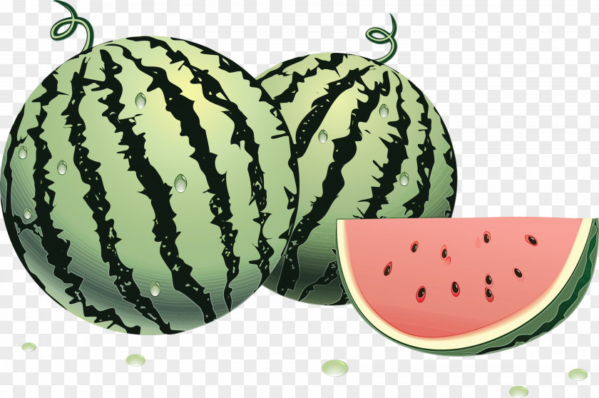 Watermelon Clip Art Image Muskmelon PNG