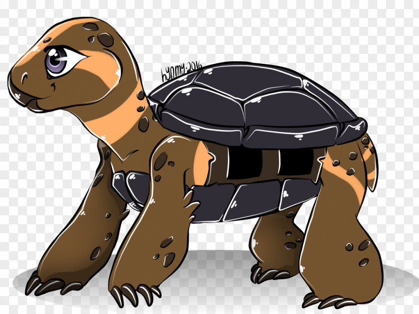 Design Tortoise Cartoon PNG