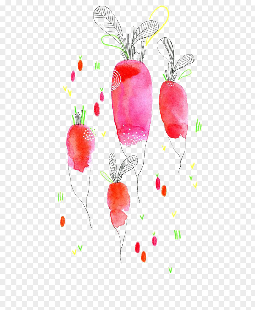 Drawing Carrot Watercolor Painting Vegetable Illustration PNG