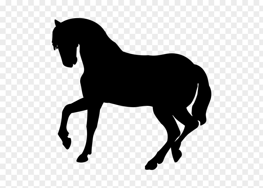 Horse Silhouette Dog Baby Jungle Animals Cat PNG