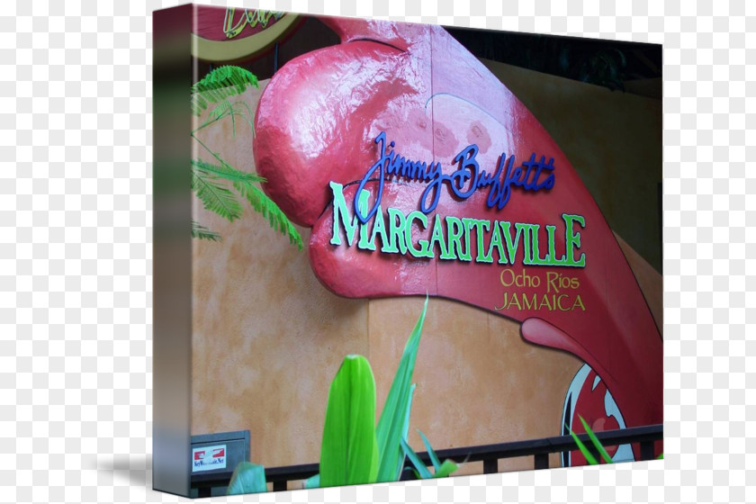 Margaritaville Advertising PNG