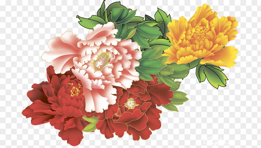 Peony Bouquet Moutan Flower 中国国花 Clip Art PNG