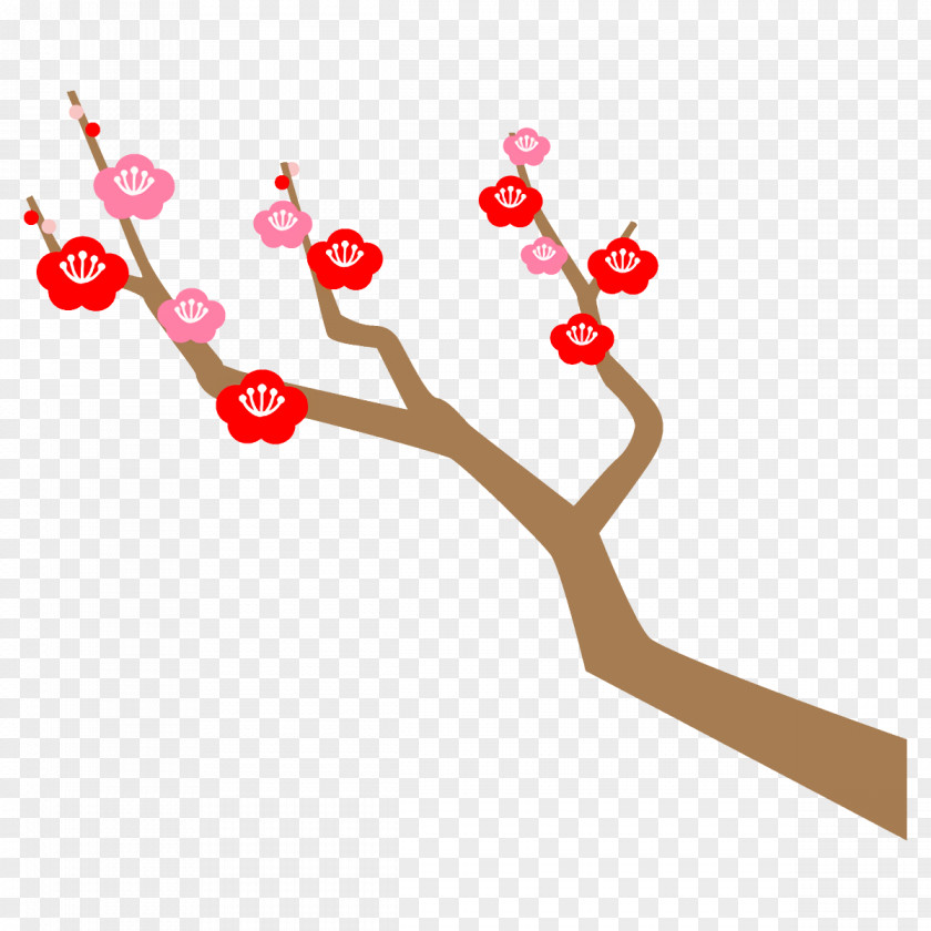 Plum Branch Winter Flower PNG