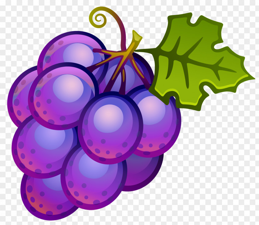 Large Painted Grapes Clipart Common Grape Vine Clip Art PNG