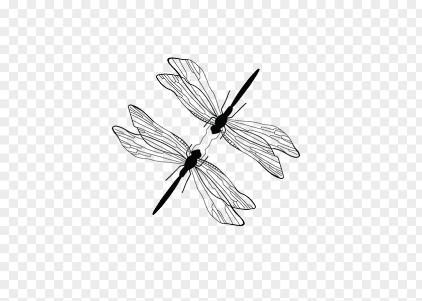 Painted Black Stick Figure Style Dragonfly Download PNG