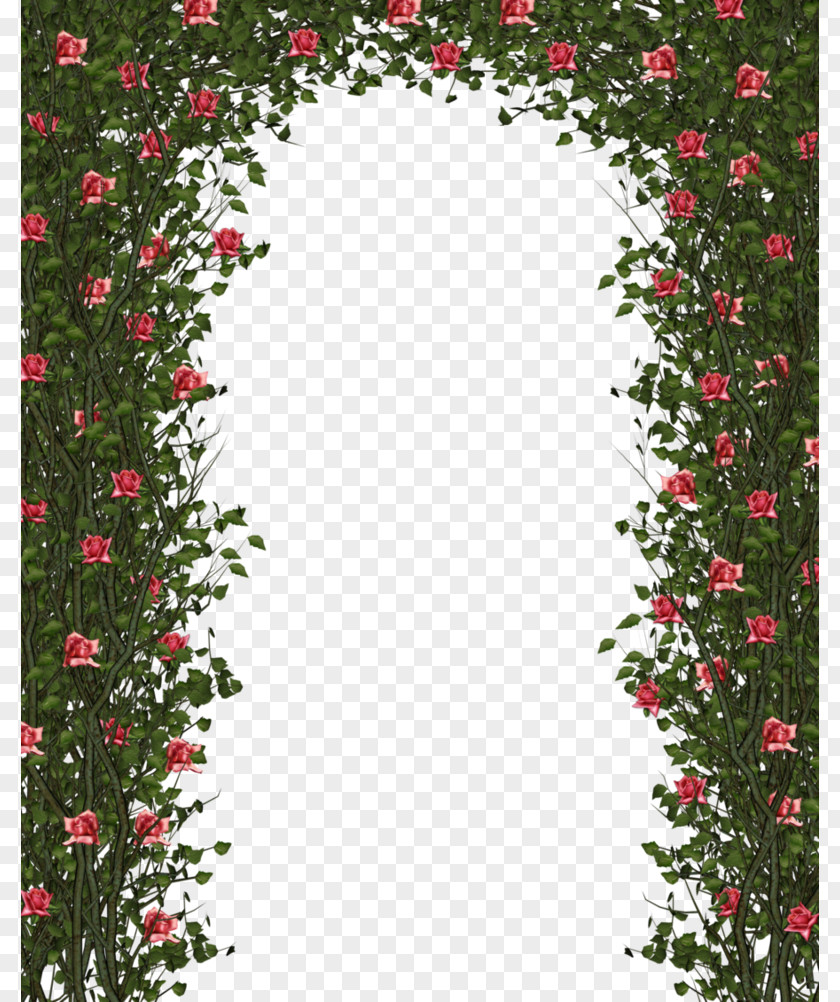 Pink Roses Vine Door Flower Garden Clip Art PNG