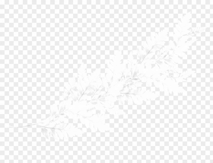 Snow Branch Black And White Brand Pattern PNG