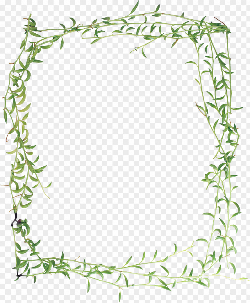 Window Picture Frames Photography Clip Art PNG