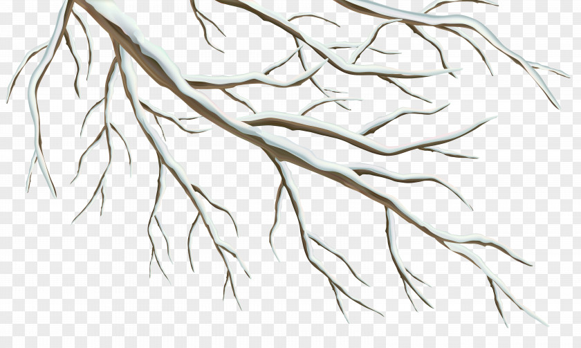 Winter Branch Clipart Image Clip Art PNG