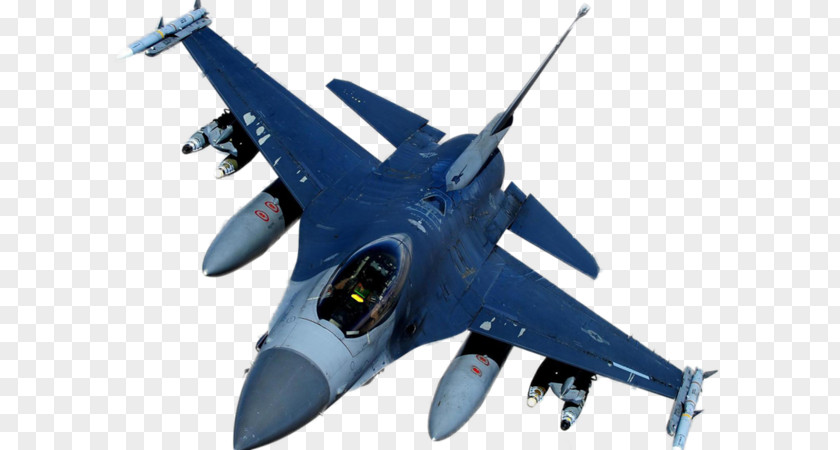 Airplane General Dynamics F-16 Fighting Falcon Grumman F-14 Tomcat Lockheed Martin F-22 Raptor PNG
