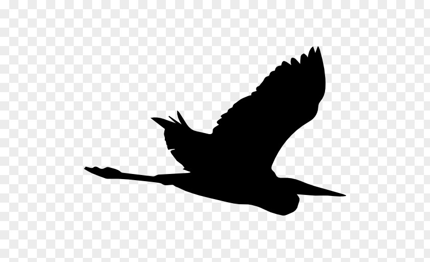 Bird Heron Beak Crane Silhouette PNG