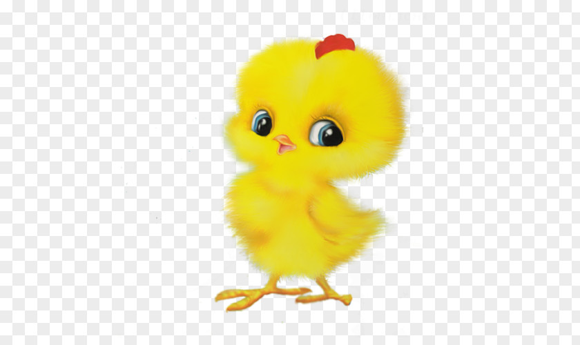Chicken Child Game Easter Egger PNG