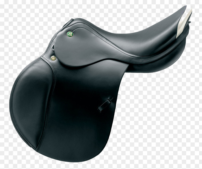 Elastic Saddle Horse Tack Dosiad Dressage PNG