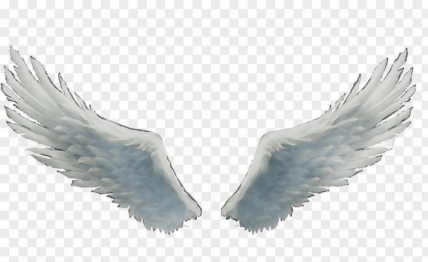 Fictional Character Fur Feather PNG