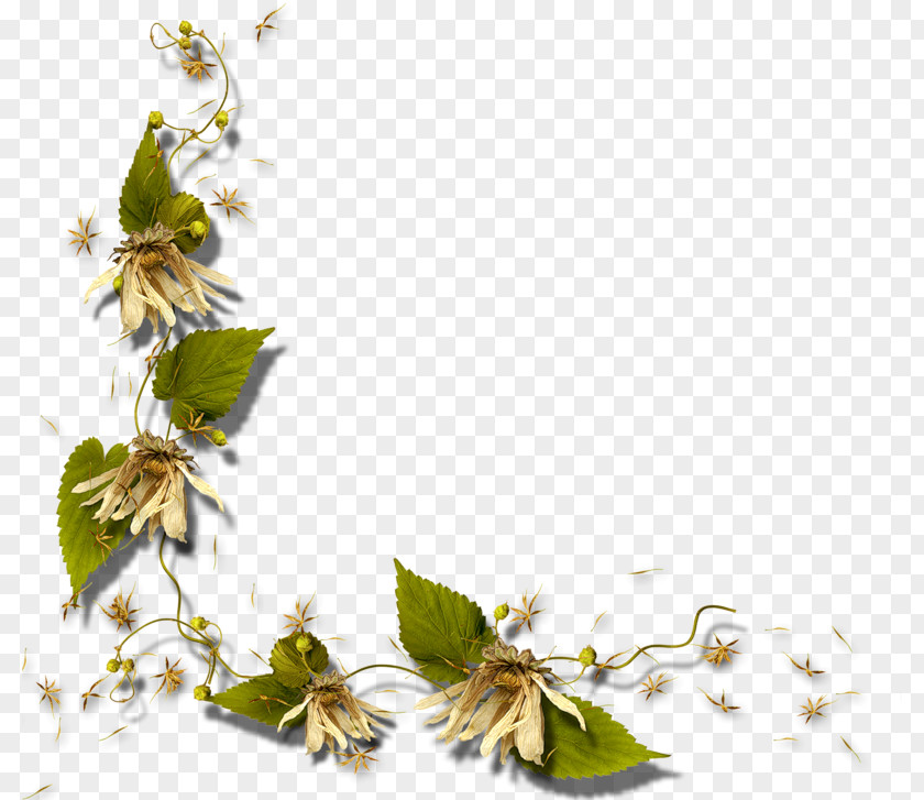 Floral Corners Decorated Picture Frame Clip Art PNG