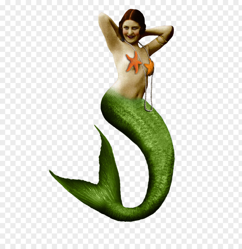 Mermaid Ariel Siren Tail PNG