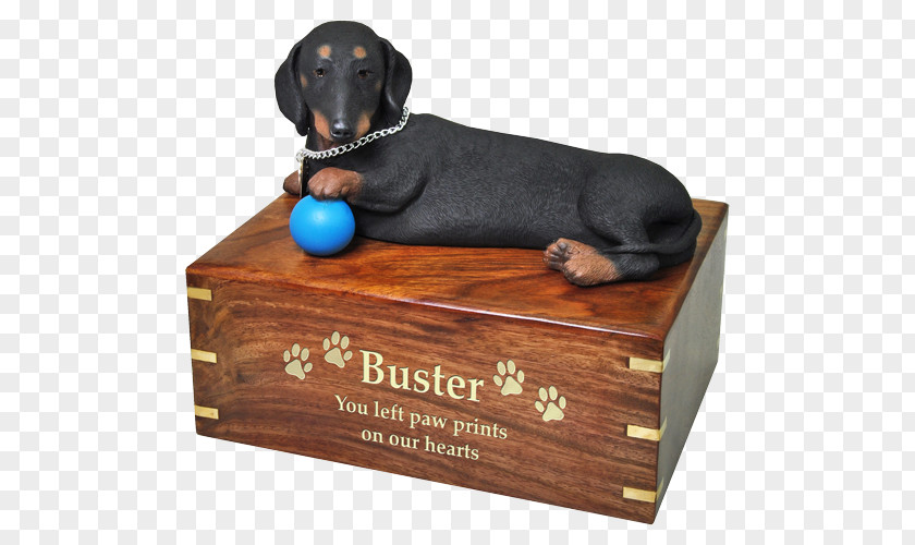 Puppy Dog Breed Dachshund Coffin Pet PNG