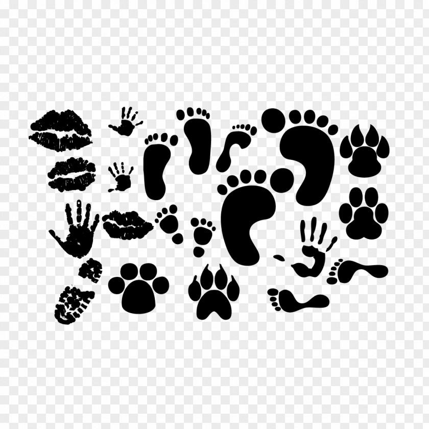 Handprints And Footprints Animal Footprint Euclidean Vector Track PNG