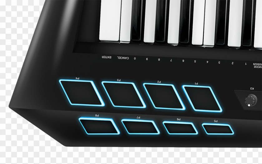 Musical Instruments Digital Piano Keyboard Keytar Electric Electronic PNG