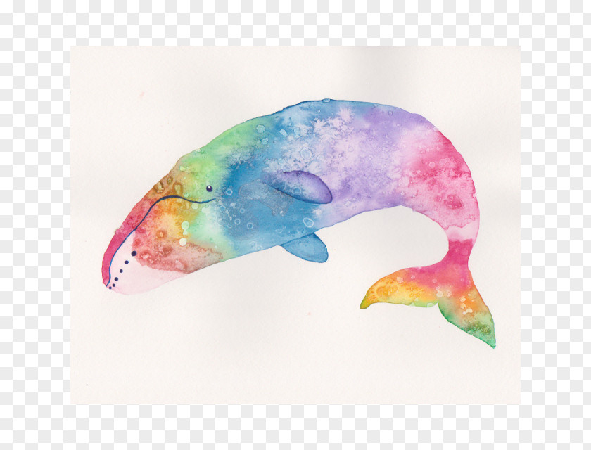 Watercolor Whale Marine Mammal Painting Printmaking Giclée PNG