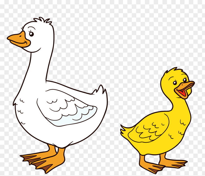 Duck And American Pekin Goose Illustration PNG