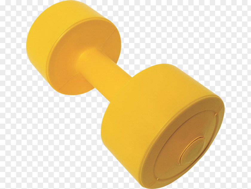 Dumbbell Physical Fitness Exercise Equipment Clip Art PNG