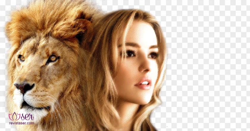 Lion Cougar Big Cat Desktop Wallpaper IMac PNG