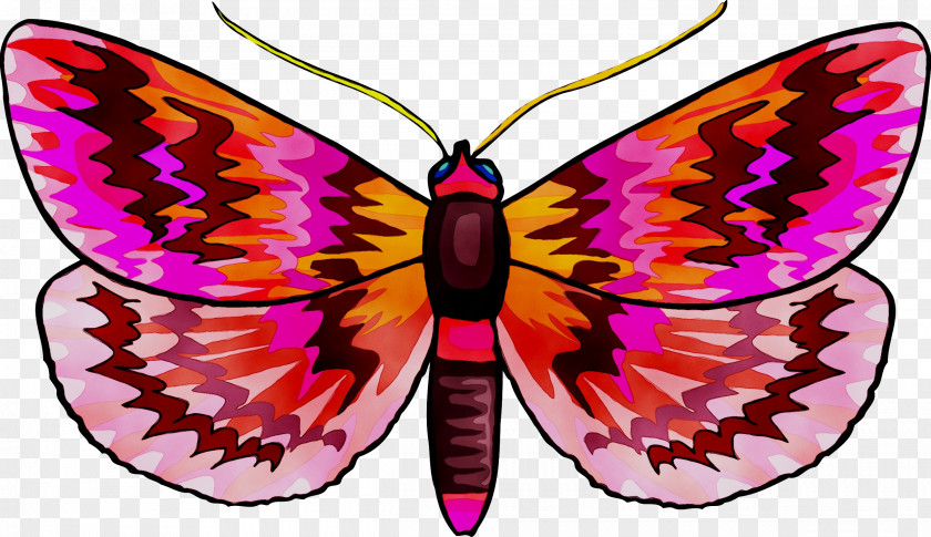 Monarch Butterfly Moth Insect Clip Art PNG