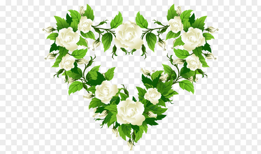 White Roses Rose Flower Clip Art PNG