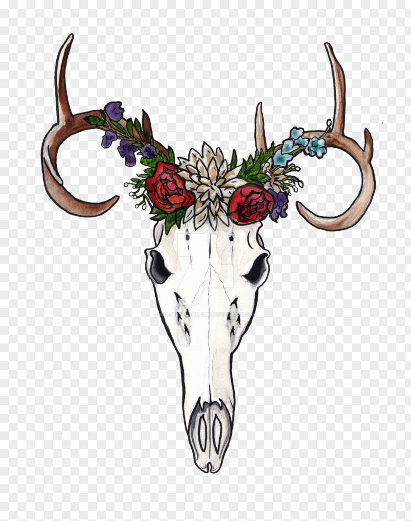 Deer Reindeer Horn Art Skull PNG