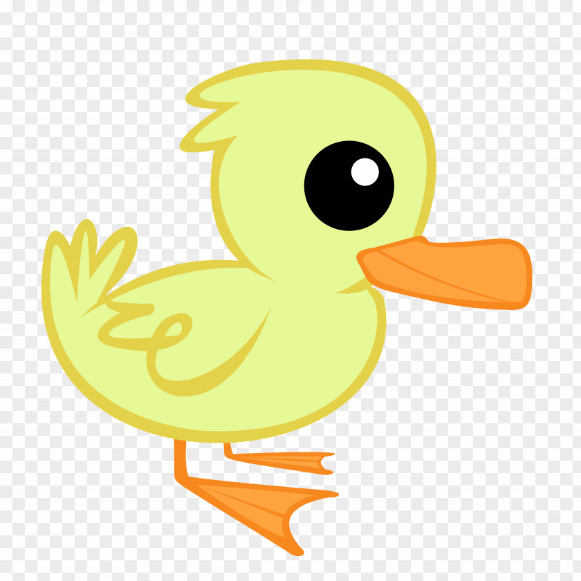 Duck Ducks, Geese And Swans Clip Art Goose Bird PNG