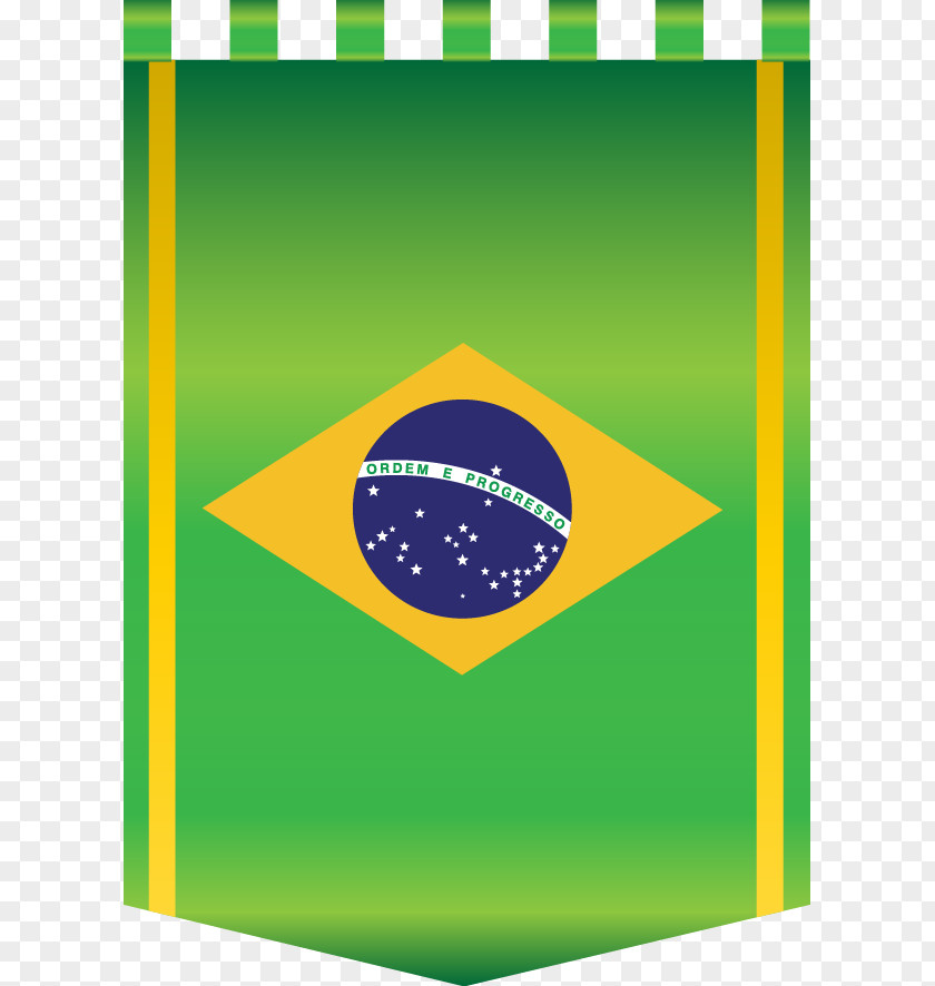 Flag Of Brazil Rio De Janeiro 2016 Summer Olympics PNG