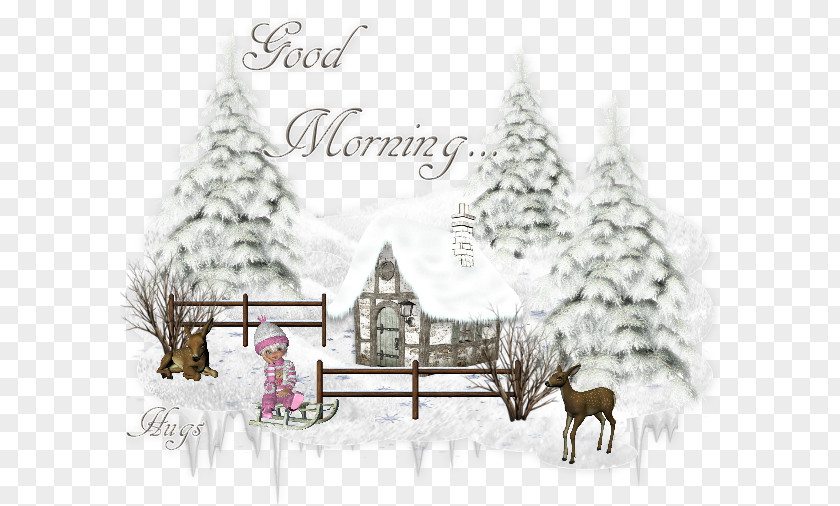 Good Morning Tuesday Image Christmas Tree Winter Photograph PNG