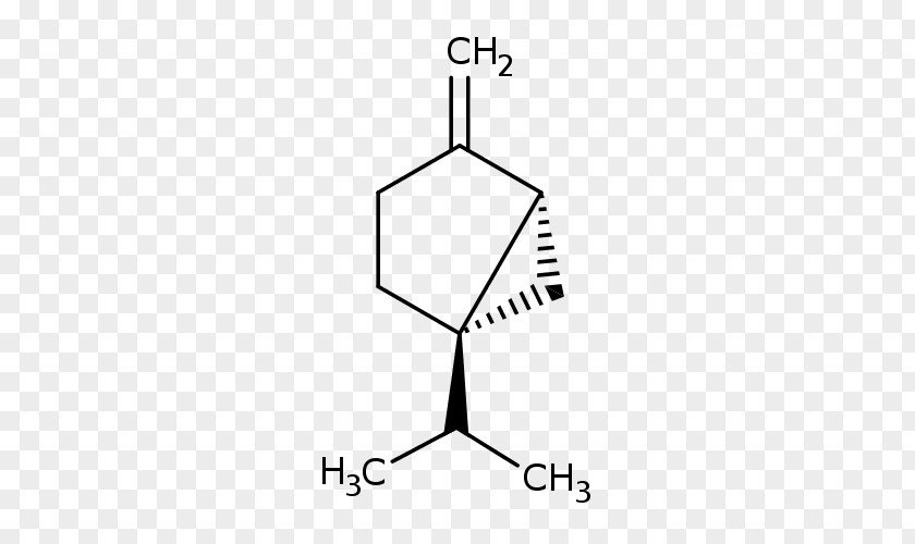 Laurus Nobilis Geraniol Nerol Monoterpene Tree PNG