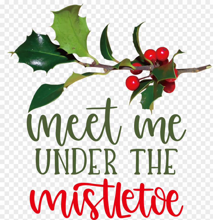 Meet Me Under The Mistletoe PNG