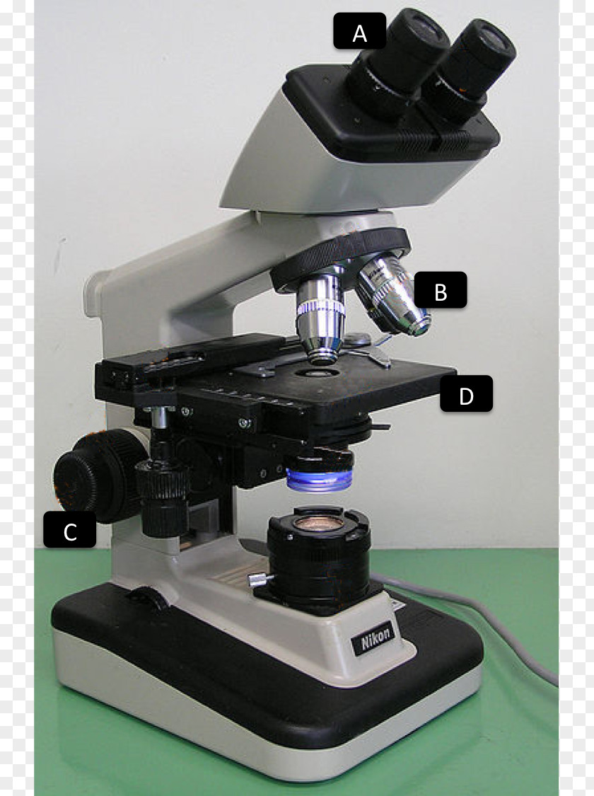 Microscope Light Optical Optics Magnification PNG